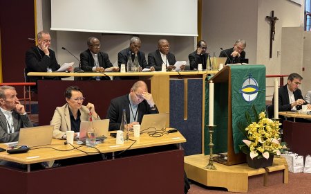Intervention à l’assemblée plénière des évêques de France. Pour une nouvelle dynamique de la coopération missionnaire
