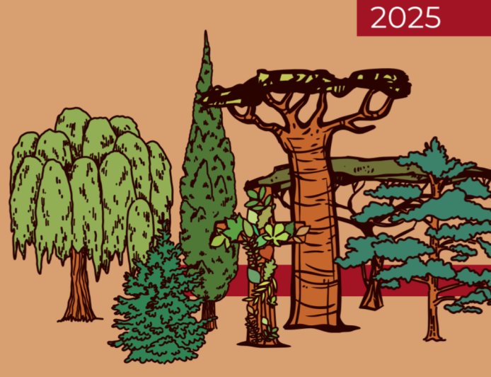 Colloque international de Maredsous (19-22 mai 2025)