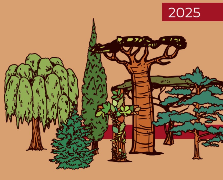 Colloque international de Maredsous (19-22 mai 2025)