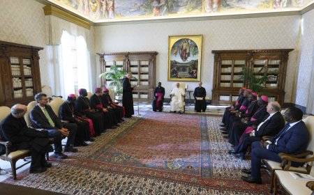 Le Pape Léon a reçu la délégation de la Fondation