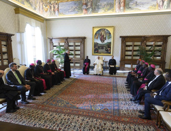 Le Pape Léon a reçu la délégation de la Fondation