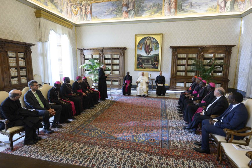 Le Pape Léon a reçu la délégation de la Fondation